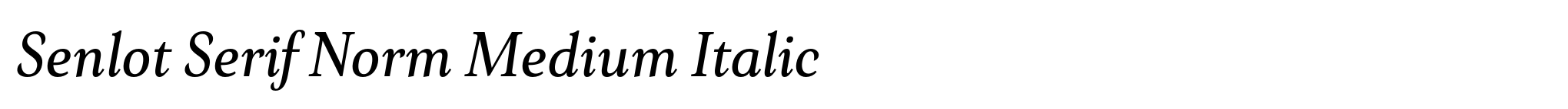 Senlot Serif Norm Medium Italic image